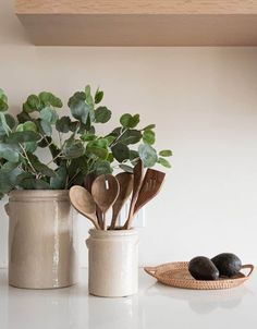 two vases filled with plants and wooden spoons on a white counter next to a basket