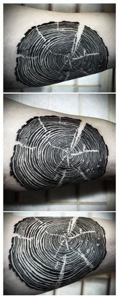 allthetreesofthefield: Tree Ring Tattoo, David Hale Tattoo, David Hale, Wood Tattoo, Hawk Tattoo, Circle Tattoo, Sleeve Ideas, Tree Ring, Ring Tattoos