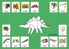 a green poster with pictures of different types of animals