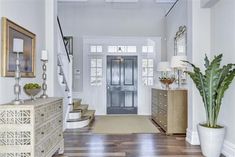 an entryway with wooden floors and white walls, large potted plant next to the door