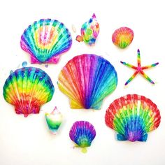 several colorful seashells and starfish on a white background