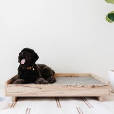 a black dog sitting on top of a wooden tray next to a cup and plant