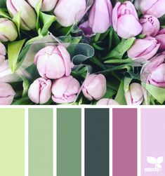 a bunch of pink tulips with green leaves in the center and color swatches