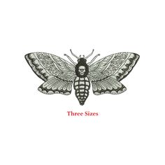 a black and white moth with the words three sizes on it