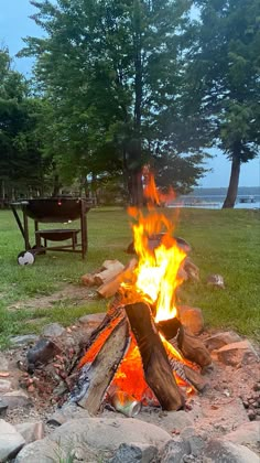 a campfire in the middle of a grassy area with trees and benches behind it