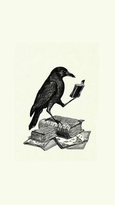 a black bird sitting on top of an open book