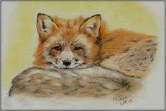 a drawing of a fox laying down