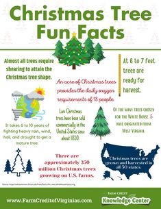 the christmas tree fun fact poster