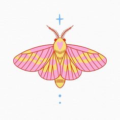 a pink and yellow moth with a cross on it's back end, sitting in front of a white background