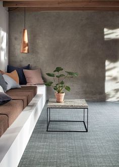 a living room filled with furniture and a potted plant on top of a coffee table