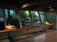 two wooden benches sitting in front of a window filled with plants and animals on display