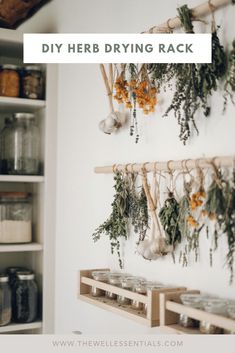 herbs hang on the wall above glasses and jars