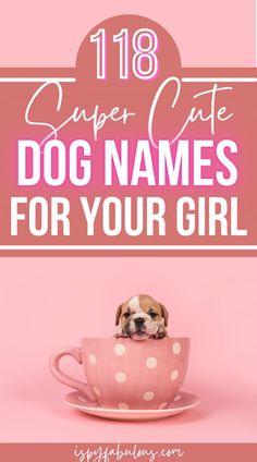 a dog in a polka dot cup with the words super cute dog names for your girl