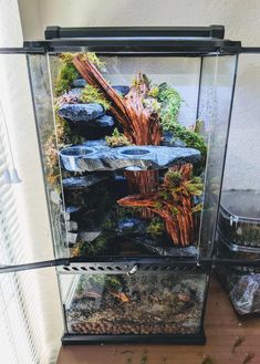 a fish tank filled with water and rocks