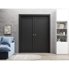 a living room with a couch, bookcase and two black doors on the wall