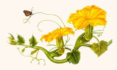 a painting of yellow flowers and a butterfly