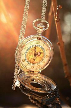 an antique pocket watch hanging from a tree branch with the sun shining through the background