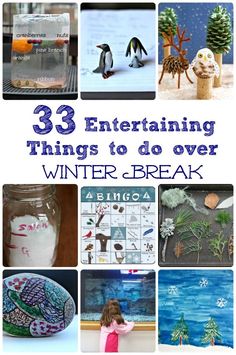 the cover of 33 entertaining things to do over winter break with pictures of animals and birds