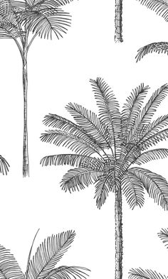 the palm tree wallpaper is shown in black and white