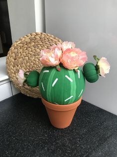 a green cactus with pink flowers in a clay pot