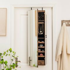 a mirror hanging on the wall next to a coat rack and potted plant in front of it