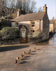 ducks are walking in front of an old stone house