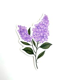 a purple flower with green leaves is shown on a white background, as well as a sticker