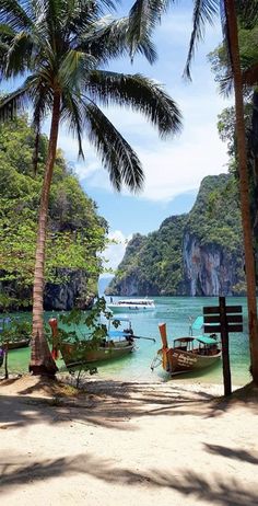 the beach is lined with boats and palm trees