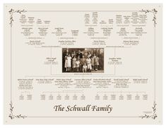 the schwaf family tree