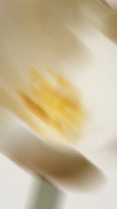 blurry photograph of an orange flower on a white table top with a green vase in the foreground