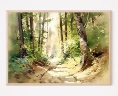 a watercolor painting of a path in the woods with sunlight coming through the trees