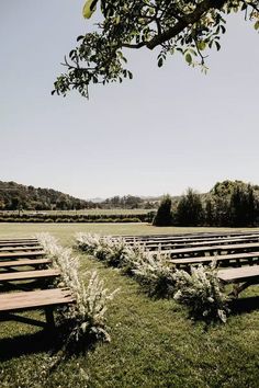 rows of wooden benches sitting on top of a lush green field