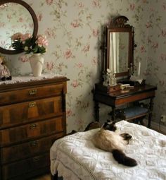 a cat laying on top of a bed next to a dresser with a mirror above it