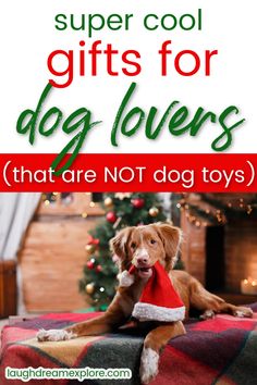 a dog wearing a santa hat with the words super cool gifts for dog lovers that are not toys