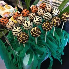 cake pops with zebra and giraffe designs on them in front of other desserts