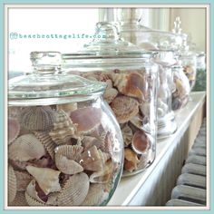 several glass jars filled with seashells on a shelf