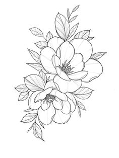 a black and white drawing of three flowers with leaves on the top one is drawn in pencil