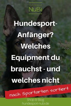 Weiße Schrift auf dunklem Grund: "Hundesport-Anfänger? Welches Equipment du brauchst - und welches nicht."