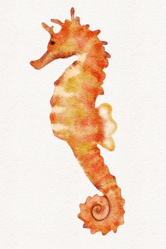 Watercolor hand drawn orange seahorse illustration isolated on white background, cute ocean animal drawing Ocean Creatures Watercolor, Sea Animals Aesthetic Drawing, Painted Sea Creatures, Sea Horses Drawing, Cute Watercolor Paintings Easy Animals, Watercolor Art Ocean Animals, Orange Fish Painting, Seahorse Watercolor Painting, Watercolor Art Sea Animals