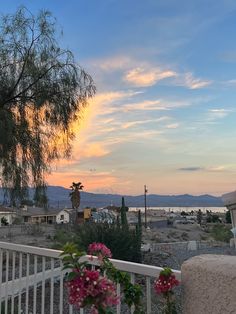 the sun is setting behind some trees and flowers in front of a white picket fence