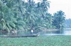 two men standing on a boat in the middle of a river surrounded by palm trees