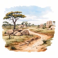 a painting of a dirt road in the middle of an african landscape with rocks and trees