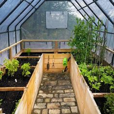 the inside of a greenhouse with plants growing in it