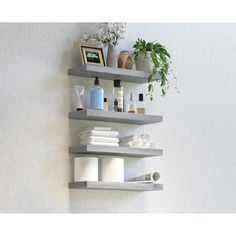 three shelves are stacked on the wall with plants and toiletries in them, one is empty