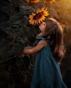 Sunflower Field Photography, Babies Pics, Sunflower Illustration, Sunflower Photography, Sunflower Pictures, Pure Heart, Photographs Ideas, Life Ideas, Fields Photography