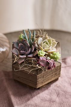 an arrangement of succulents in a wooden box on a pink tablecloth