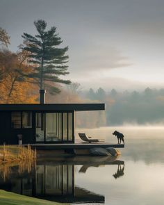 a dog standing on the edge of a dock next to a lake with a houseboat