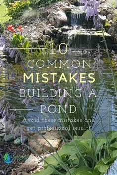 a pond surrounded by plants and flowers with the words 10 common mistakes building a pond