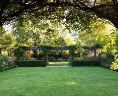 a lush green yard with trees and bushes