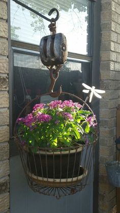 a potted plant hanging from the side of a building with a dragonfly on it